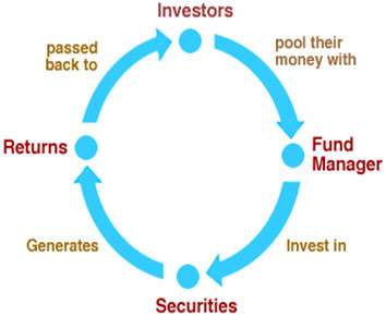 mutual funds with high returns India